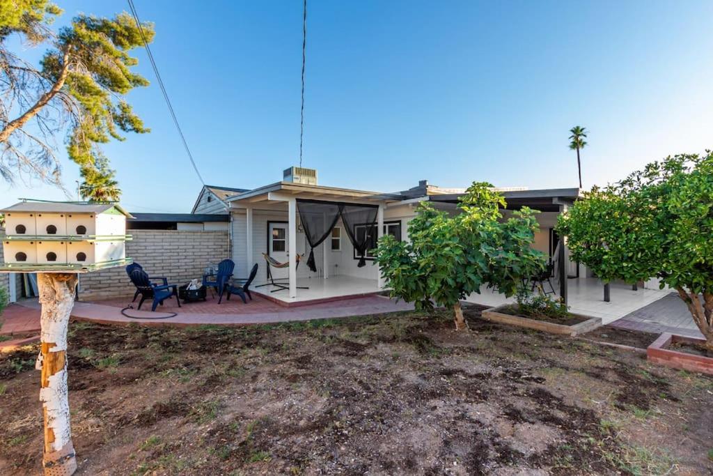 New Midtown Modern Studio With Backyard Phoenix Ngoại thất bức ảnh